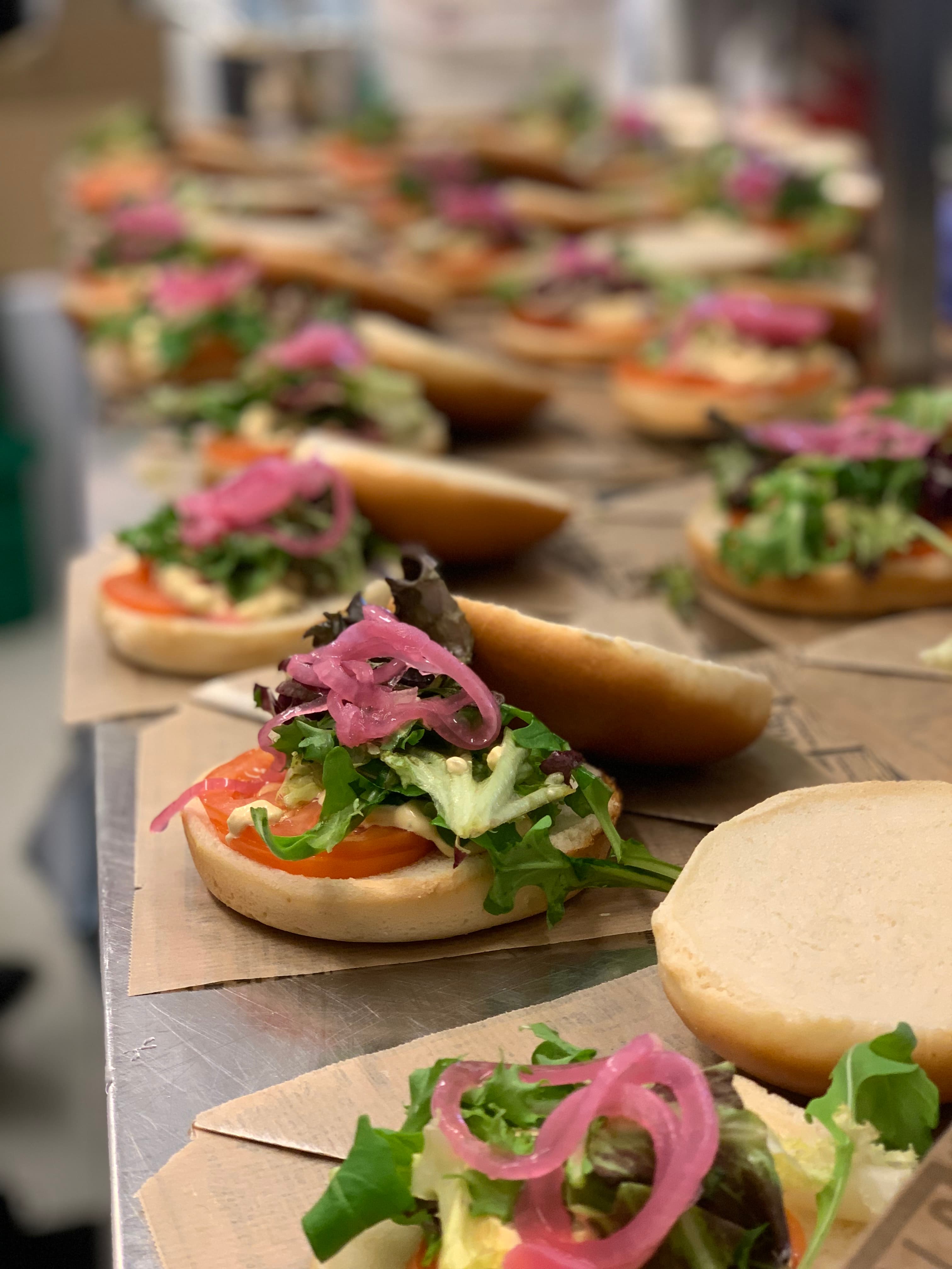 Nordnorsk plating
